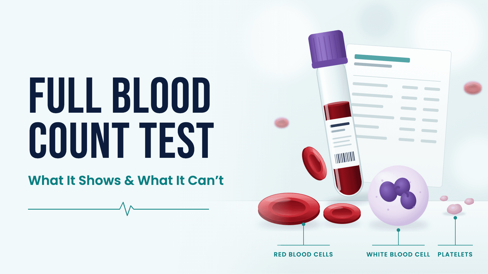 Illustration of a blood sample tube with labelled red blood cells, a white blood cell and platelets, beside the heading 'Full blood count test'.